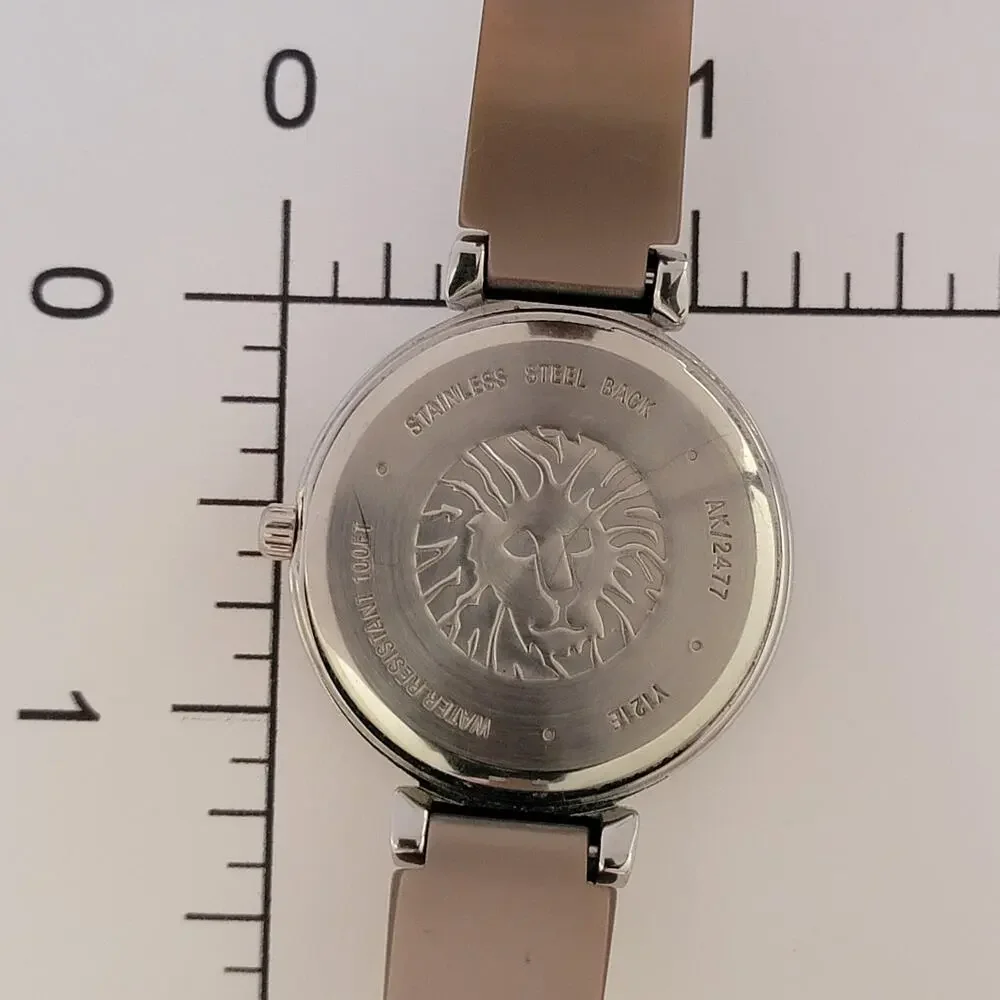 Anne Klein Womens Watch Silver Case Gray Dial Stainless Bangle Bracelet Quartz
